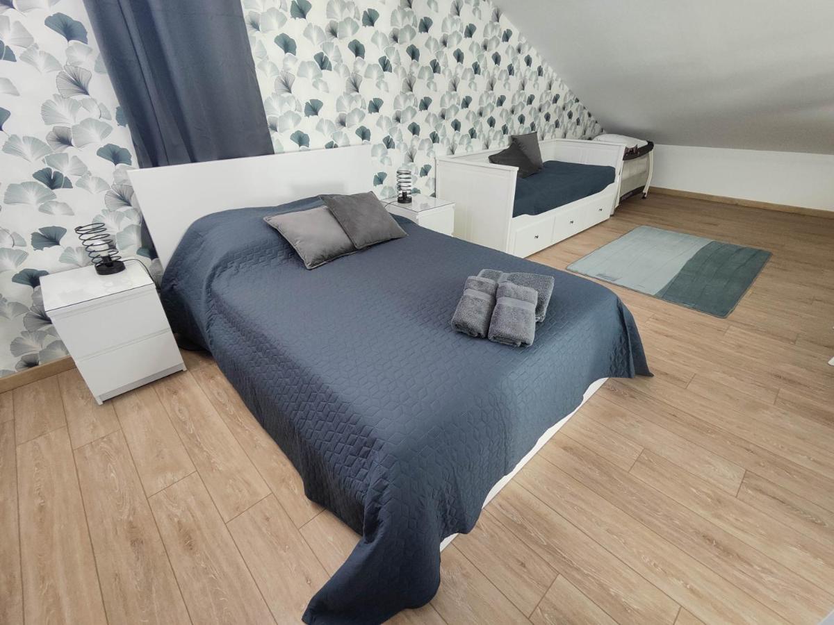 O Loft - 3 Chambres Avec 3 Salles De Bains - Parking - Climatisation Albi Dış mekan fotoğraf