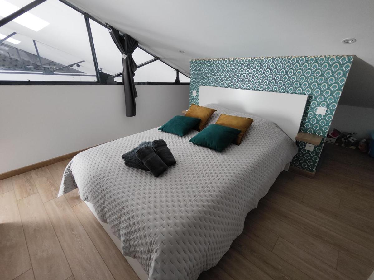 O Loft - 3 Chambres Avec 3 Salles De Bains - Parking - Climatisation Albi Dış mekan fotoğraf