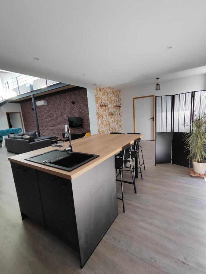 O Loft - 3 Chambres Avec 3 Salles De Bains - Parking - Climatisation Albi Dış mekan fotoğraf